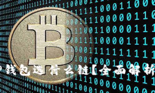 HT币提到TP钱包选什么链？全面解析与选择指南