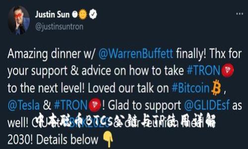 中本聪币BTCs公链与TP使用详解